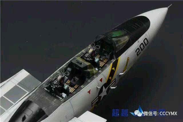 ﹬ 48 F-14A+
