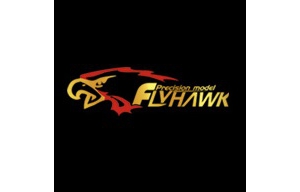ӥ(FLYHAWK)1/700 ½ģͷͼȫ