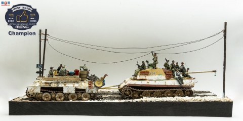 MENGĳ龰ھ King Tiger & BergePanther