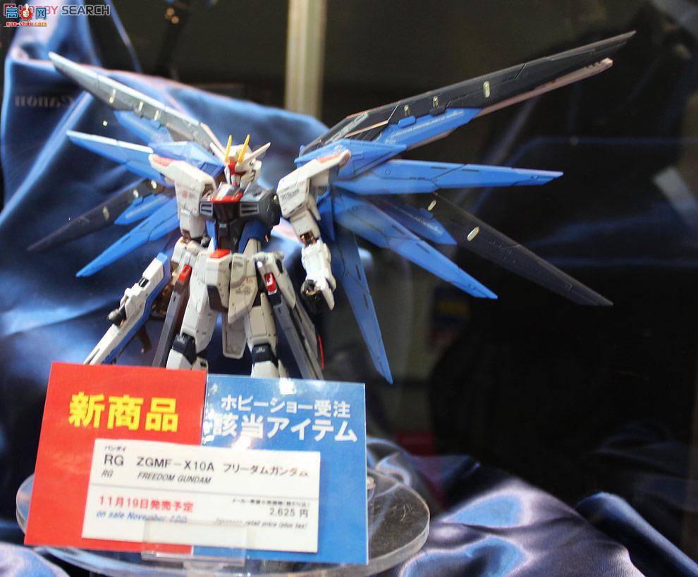  ߴ RG05 2143383 ZGMF-X10A ɸߴ