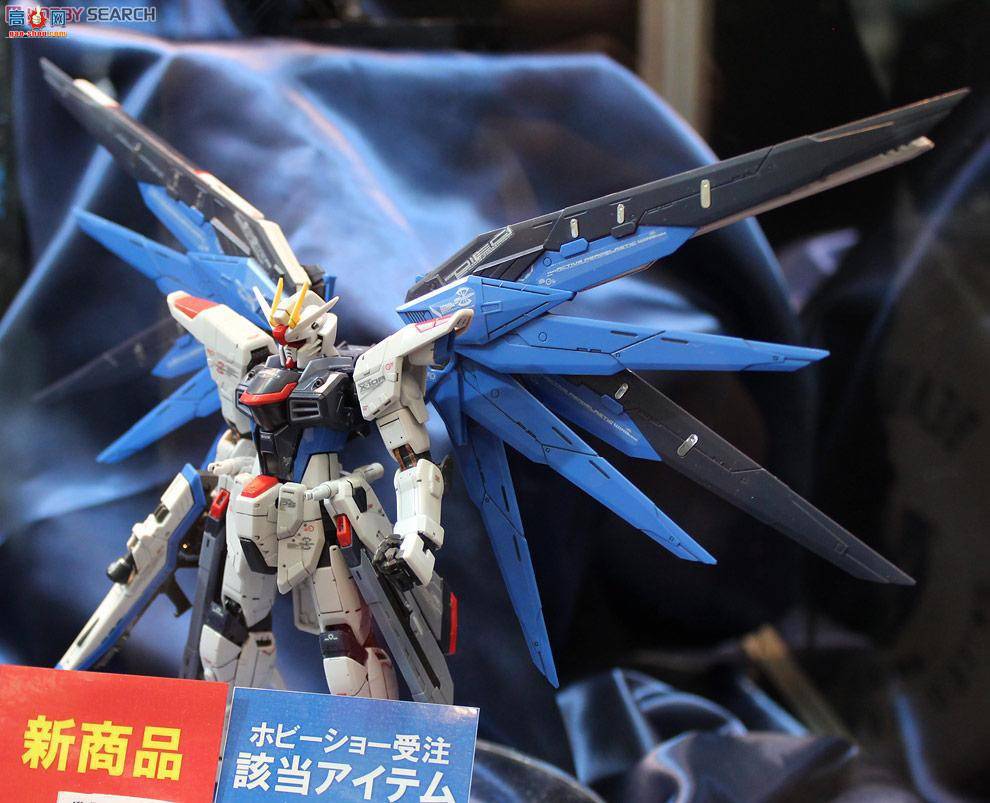  ߴ RG05 2143383 ZGMF-X10A ɸߴ