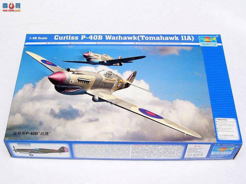 С ɻ 02807 ܵ˹P-40Bսӥ