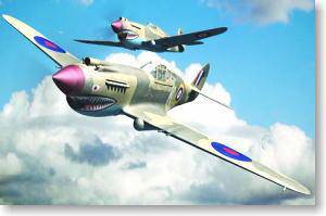 С ɻ 02807 ܵ˹P-40Bսӥ