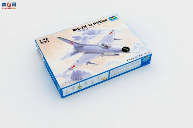 С ɻ 02858 ׸-21F-13ѡս