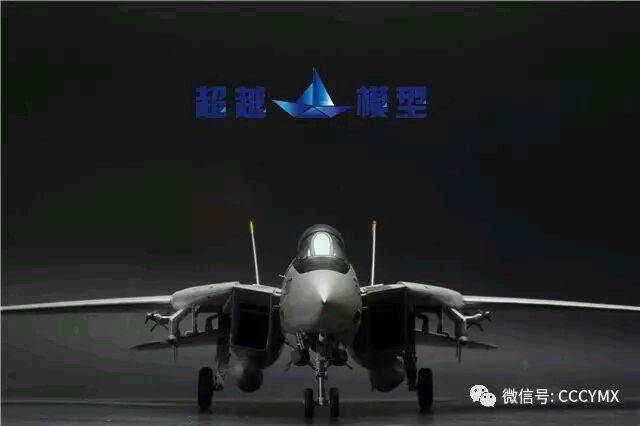 �﹬ 48 F-14A+