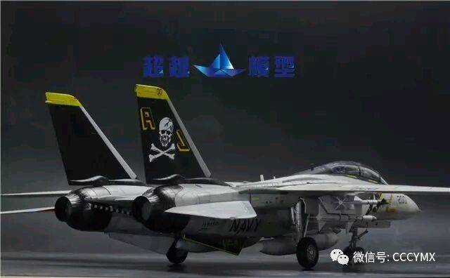 �﹬ 48 F-14A+