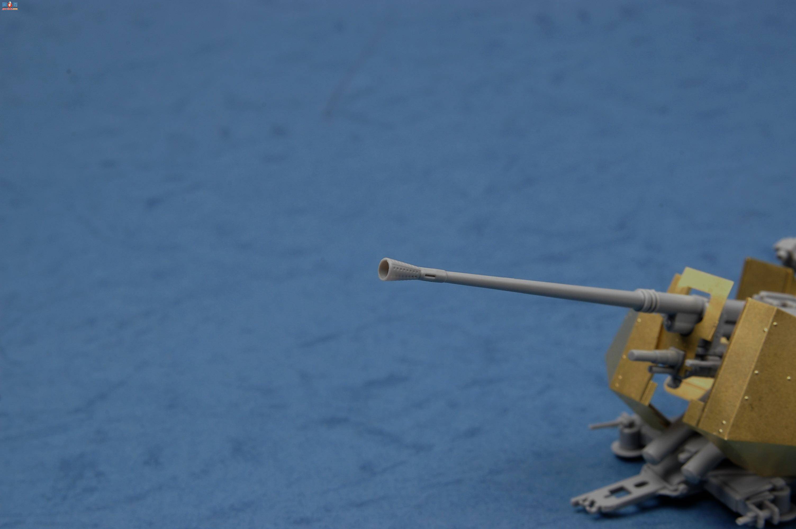 С���� ���� 02309 �¹�2.0cm������