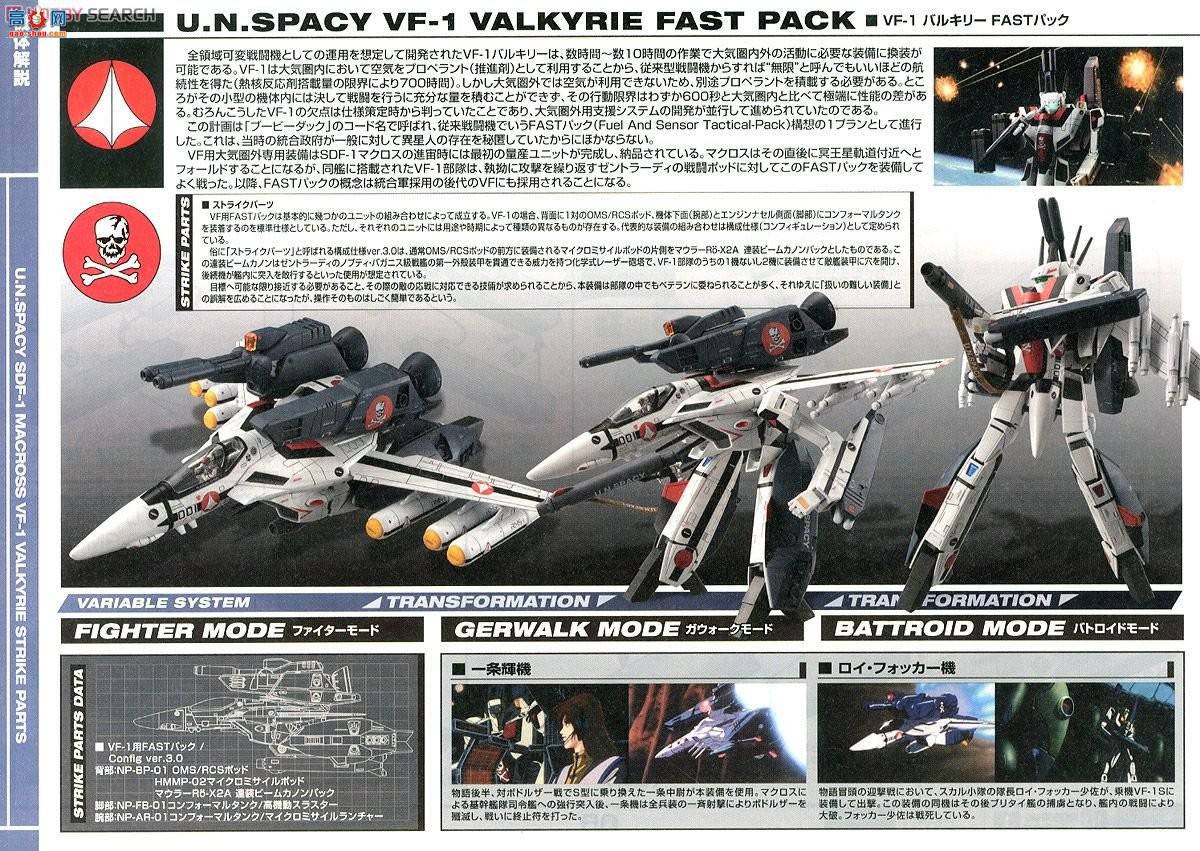 ��� ��ʱ��Ҫ�� ��� 2205697 VF-1Ů�������