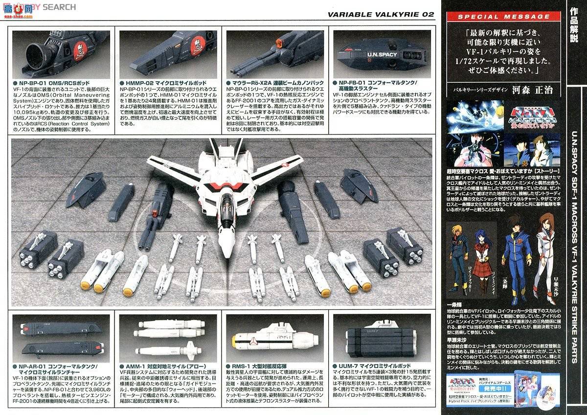 ��� ��ʱ��Ҫ�� ��� 2205697 VF-1Ů�������