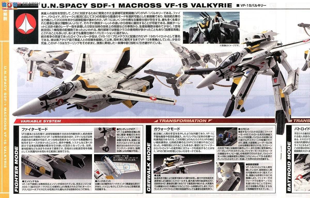 ��� ��ʱ��Ҫ�� ���� 2205698 VF-1SŮ��������Focker