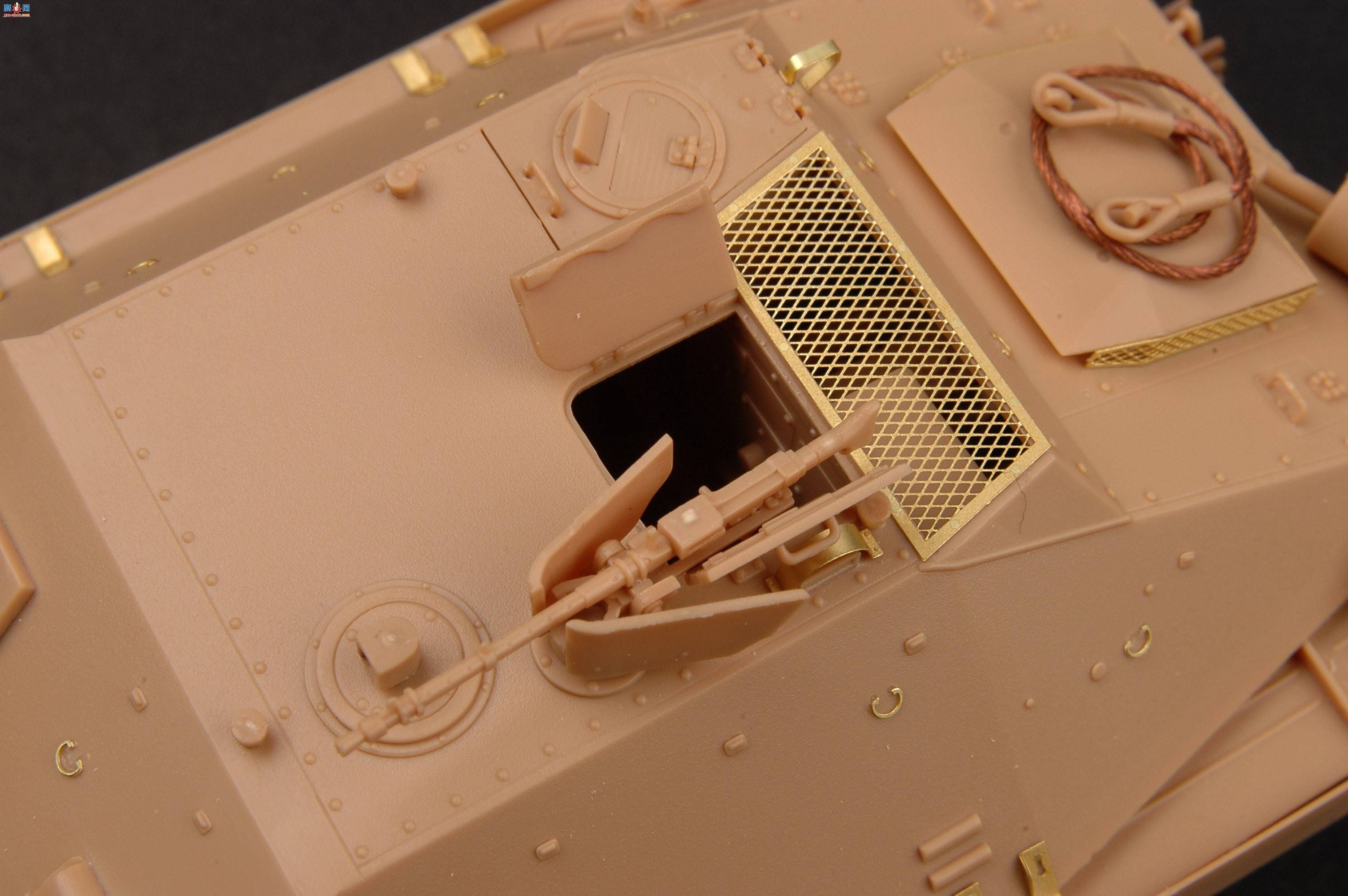 С���� ̹�� 05524 �¹�STARR̹�˼߻���