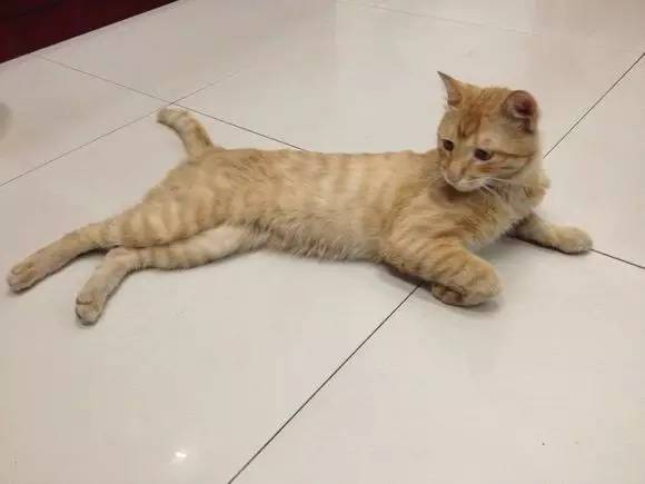 è�佡���漱��11���ź�