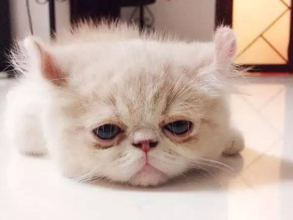 è�佡���漱��11���ź�