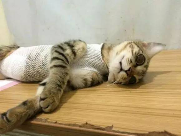 è�佡���漱��11���ź�