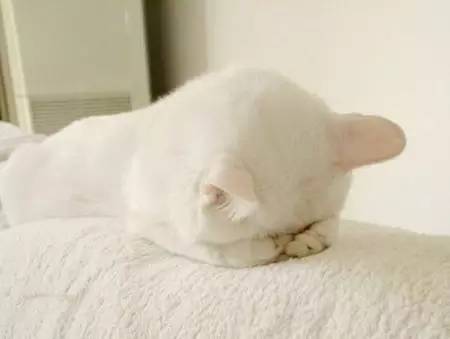 è�佡���漱��11���ź�