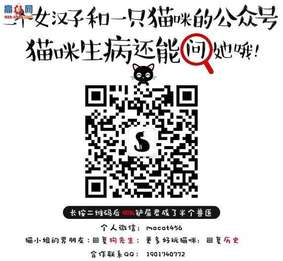 ��è��֪ʶ��Ҫע��è�ð�֢���ߴ�����