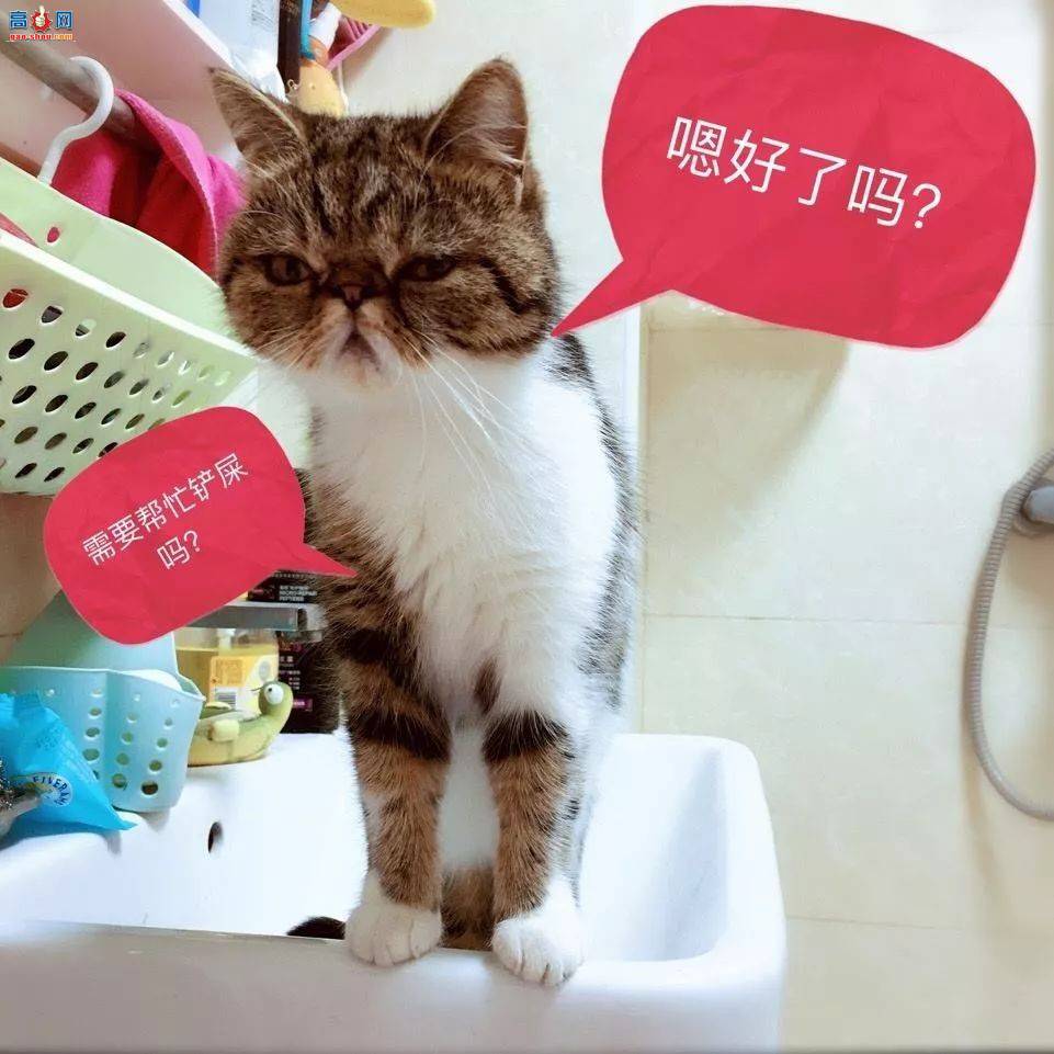ʺע!èʱ7ѶҪע!
