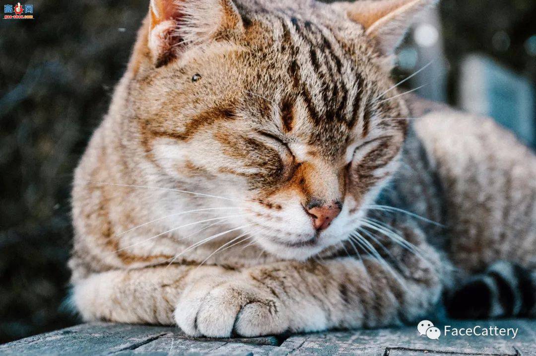 è������ʱ�ľ�Ѷ�������������