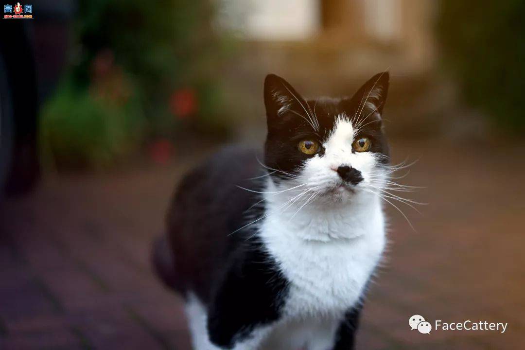 è������ʱ�ľ�Ѷ�������������