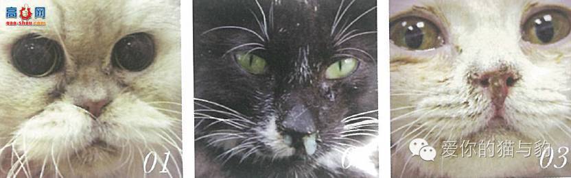 è������ʱ�ľ�Ѷ!!!