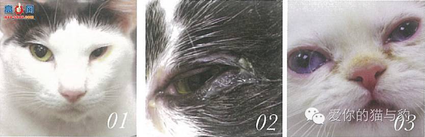 è������ʱ�ľ�Ѷ!!!