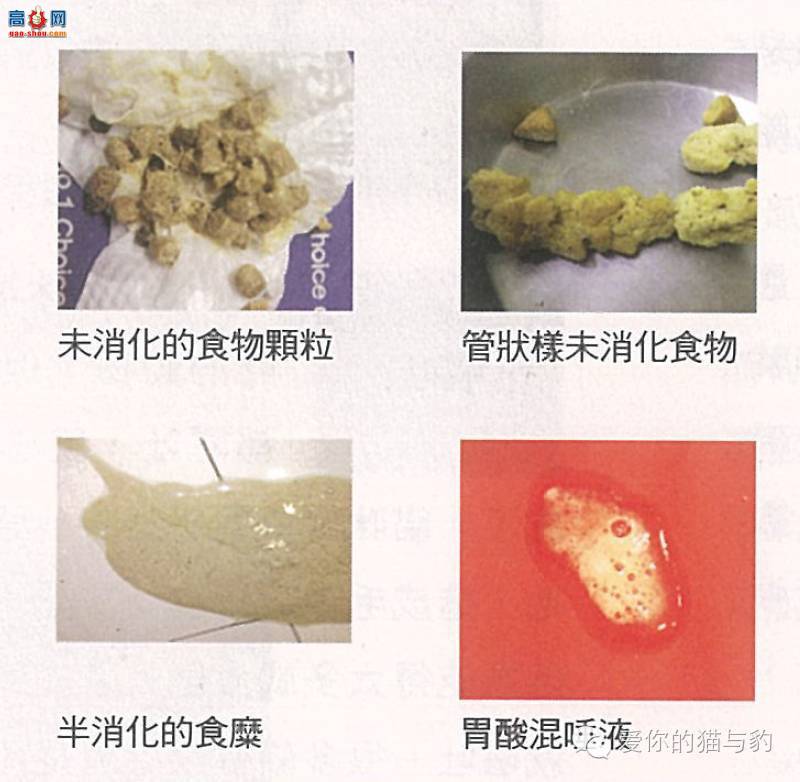 è������ʱ�ľ�Ѷ!!!