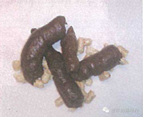 è������ʱ�ľ�Ѷ!!!