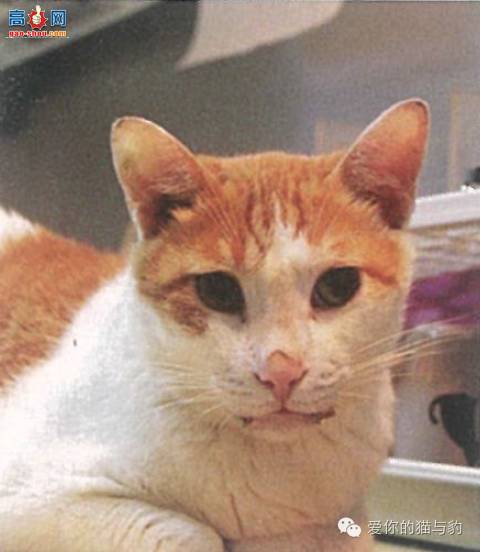 è������ʱ�ľ�Ѷ!!!