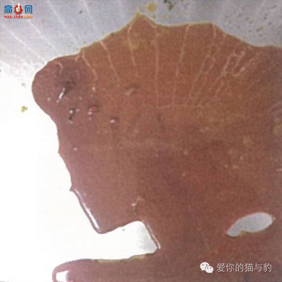 è������ʱ�ľ�Ѷ!!!