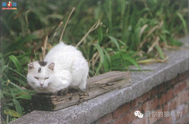 è������ʱ�ľ�Ѷ!!!