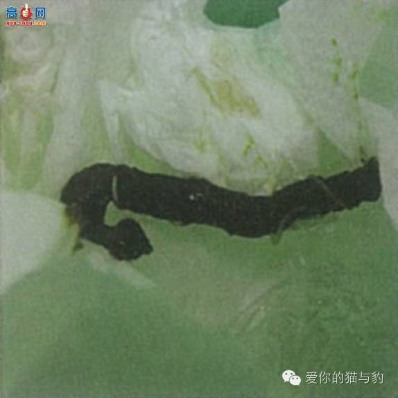 è������ʱ�ľ�Ѷ!!!