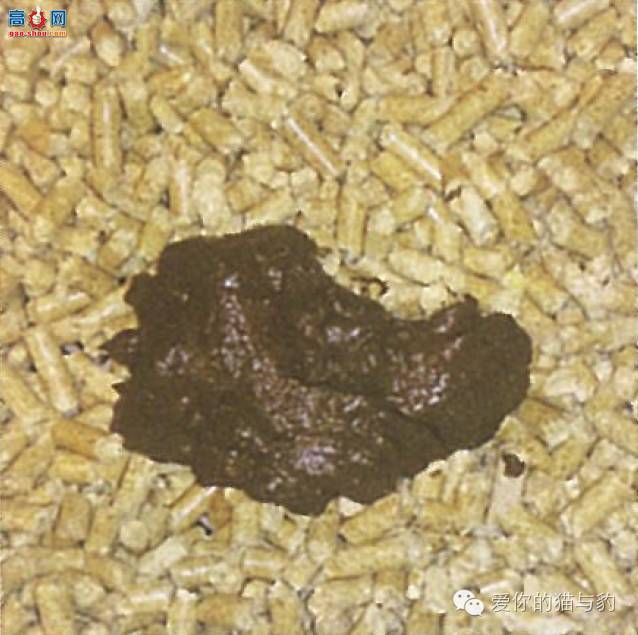 è������ʱ�ľ�Ѷ!!!