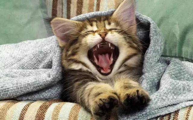 è������ʱ�ľ�Ѷ (һ)