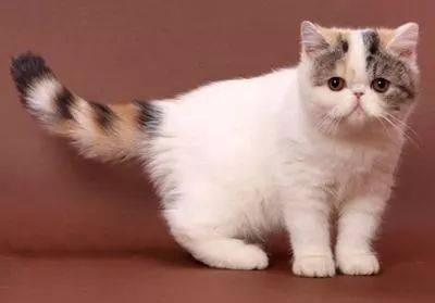 è������ʱ�ľ�Ѷ (һ)