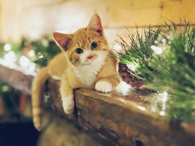 è������ʱ�ľ�Ѷ (һ)