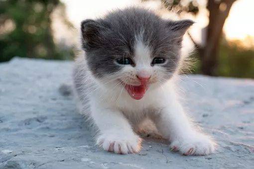 è������ʱ�ľ�Ѷ (һ)