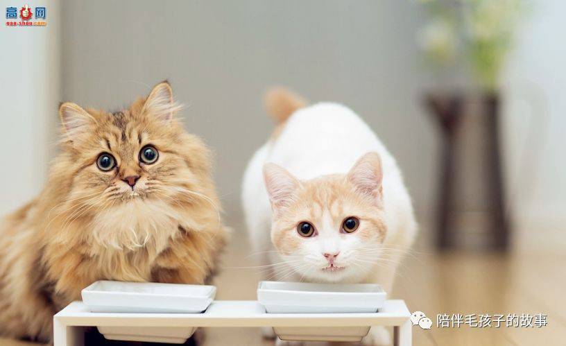 è������ǲ���?