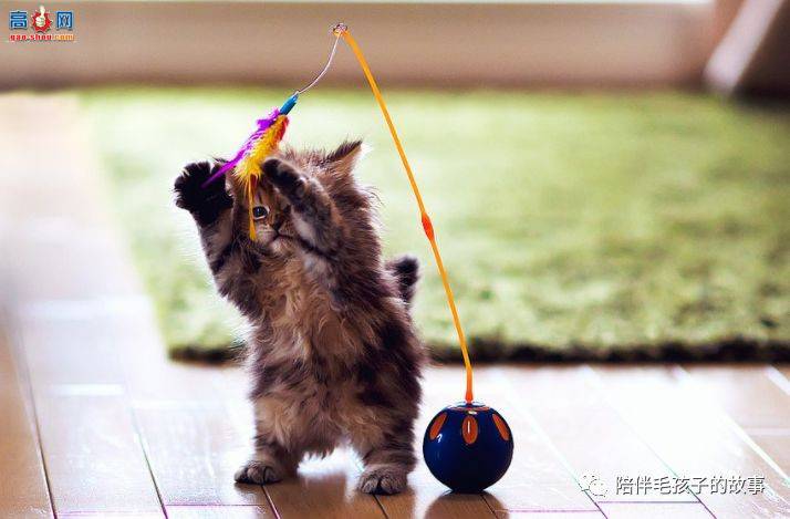 è������ǲ���?