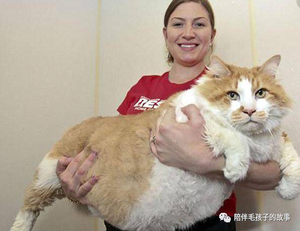 è������ǲ���?