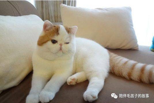 è������ǲ���?