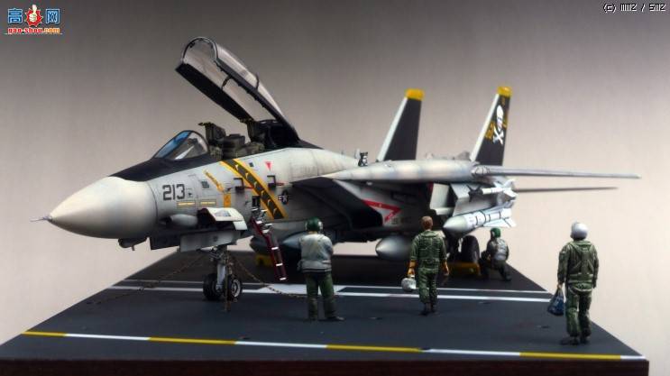 48 F-14A jolly rogers' - Tom &amp; Cat