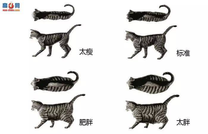 ʮèŸ,һѹ!èԷΪ?!