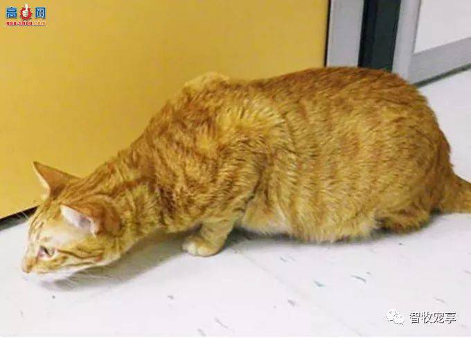 è������ʱ�ľ�Ѷ(��)