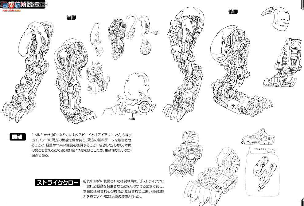 ˹ ZD47 彣