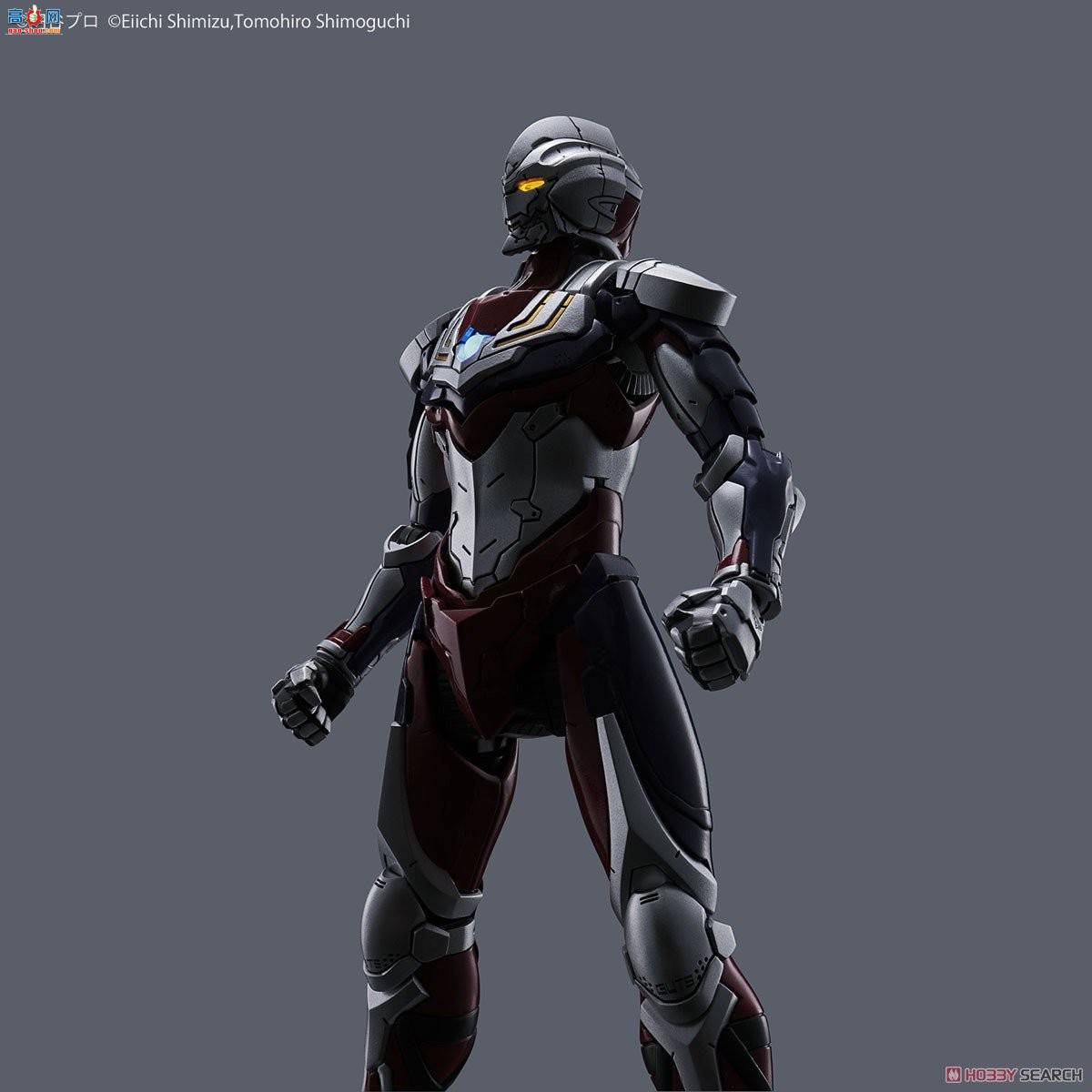  2492940  TIGA