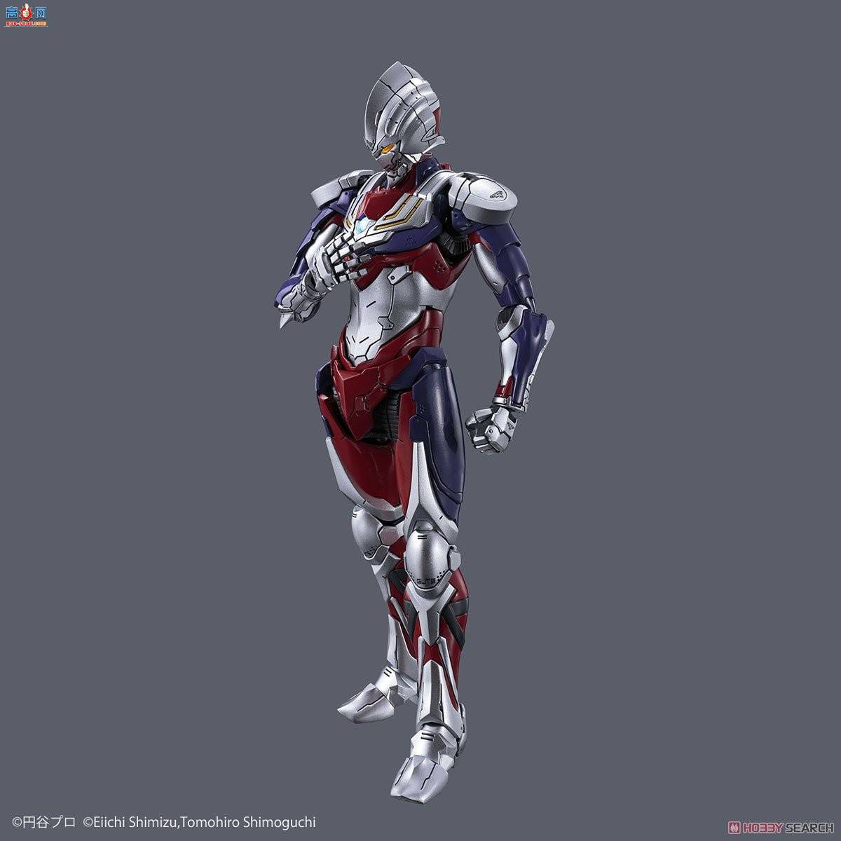 2492940  TIGA
