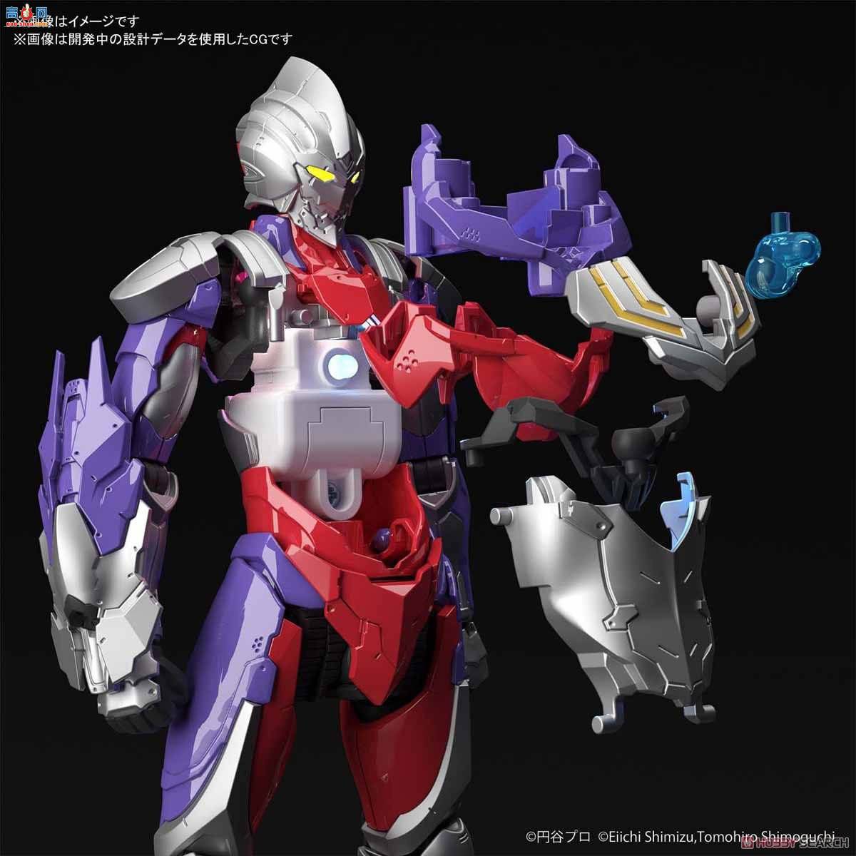  2492940  TIGA