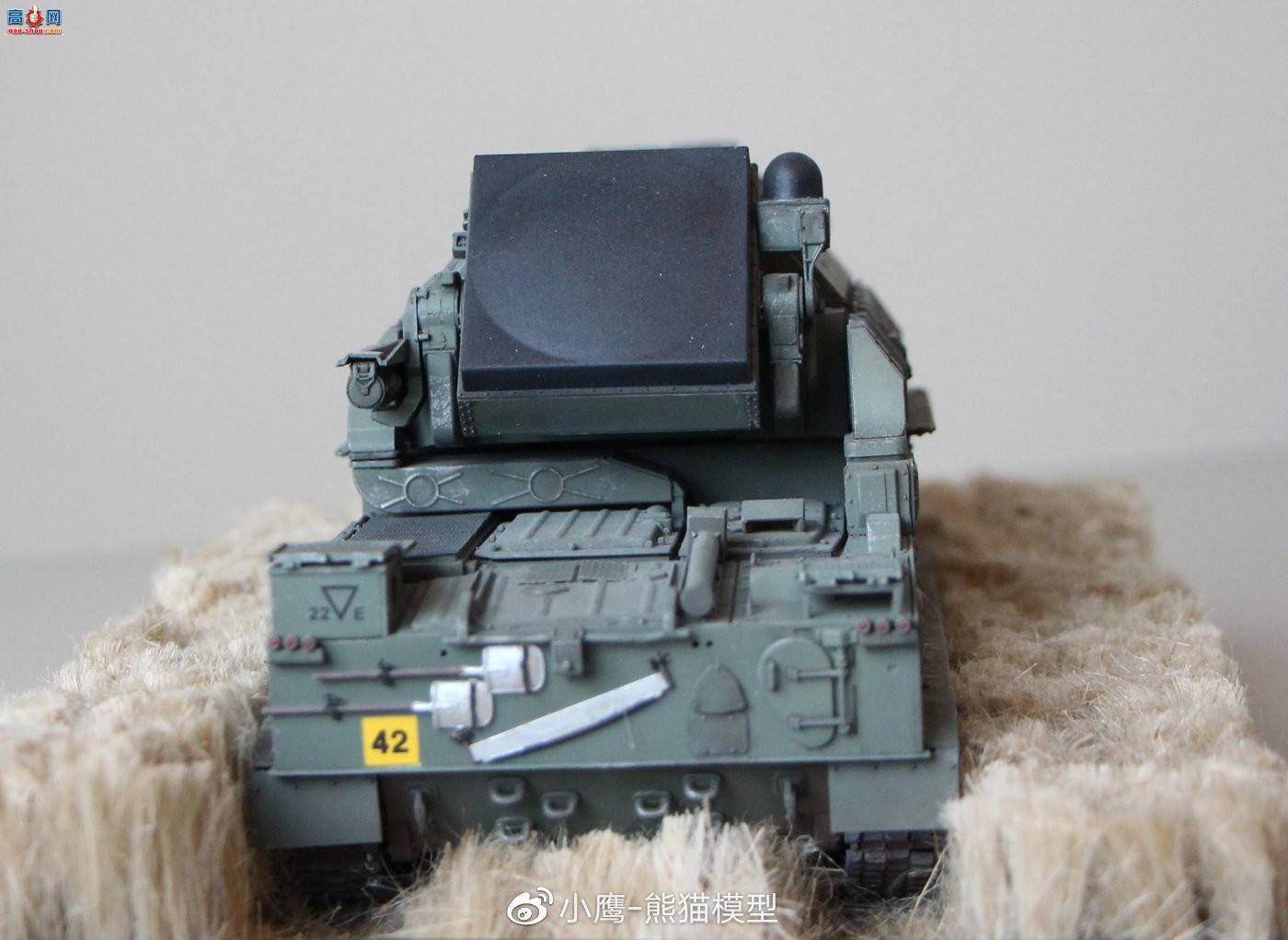 Panda Hobby 1/35 Tor M-1