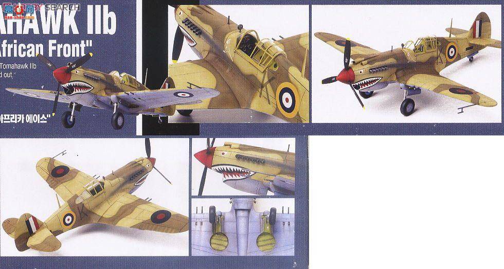  ս AM12235 սMk.IIB(P-40C)