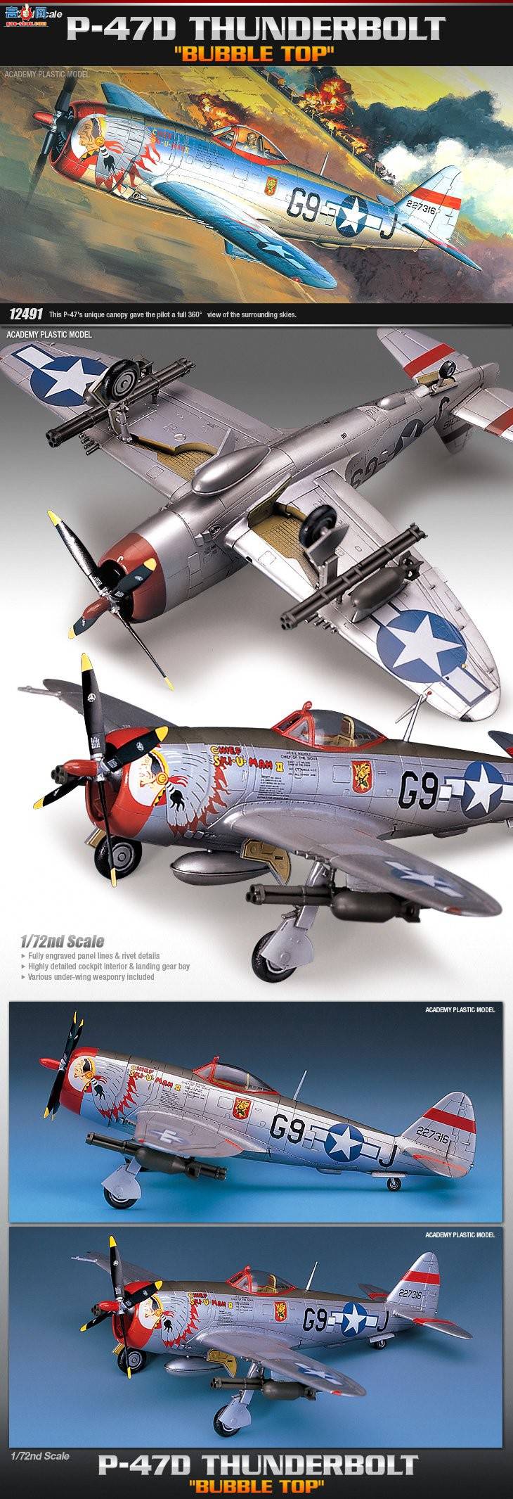  ս AM12491 P-47D THUNDERBOLT [BUBBLE-TOP]-